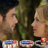 Олами Синамо