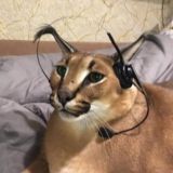 Обсуждение