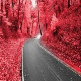 🅼🆄🆂🅸🅲🅱🅾🆃❤️❤️❤️