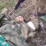 МЕРТВІ ОРКИ 🔥