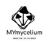 MYmycelium - мухомор, ежовик, кордицепс