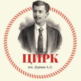 Воронежский цирк