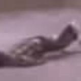 La llorería - Crying Room