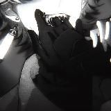 ㅤ ── ﹙𝗐𝖾𝗌𝗁𝗂𝗅𝗐𝖾﹚