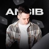 ANSIB