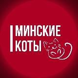 Минские коты