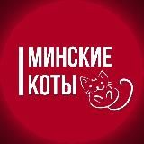 Минские коты