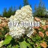 ПАРК ГАЛИЦКОГО. ЯПОНСКИЙ САД. ПАРК ОБЛАКОВ