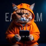 Помощник видеографа