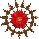 Ведичка - Vedi Tarot