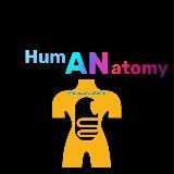 Что подарить на Новый 2022?