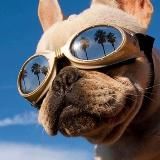 NEW 🔥Курсы со скидками🔥