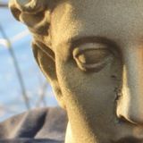 PANARCTO (unofficial)