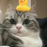 Приватизация