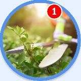 Вокруг Сада 🪴 Дача, дом и огород