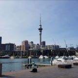 Russian Kiwi IT chat