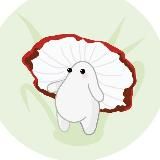 Гриб моральной поддержки