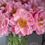 СВОБОДА МЫСЛЕЙ