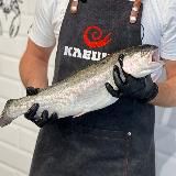 Клешня Москва, Мытищи