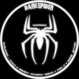 🕷DarkSpider - Канал о способах заработка, новости в сфере IT и многое другое!