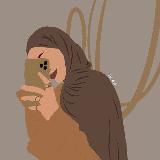 Находки Мусульманки с Wildberries, ozon, Aliexpress, WB