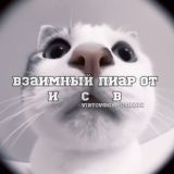 реклама | иᴄʙ ᵛⁱʳᵗ