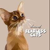 бесстрашные котикиᶜʰᵃᶰᶰᵉᶫ🐈⬛️