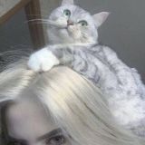 хуярим мефедрон