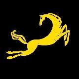 Каневская Жесть 🌚