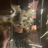 🍂стая норкис╺⃝⃤