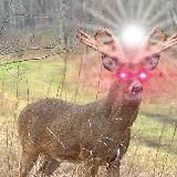 👻 Spooky Steamed Memeballs🎃