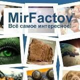 ТехноМир VDK