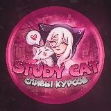 Курсы для студентов