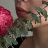 Kamila's - доставка цветов по Ташкенту