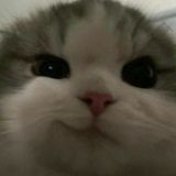 громкая тишина