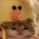 певом