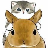 С днём овсяного коконата