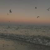 як народжувалась Одарка💔