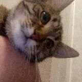 Канал для Анал