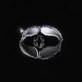 игорь томожа