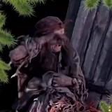 Ведьмина избушка Татьяна Вирго.