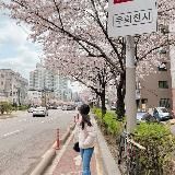 ():Korea:()