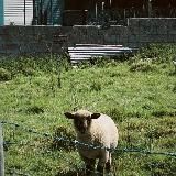 𝓥 𝓮 𝓬 𝓱 𝓷 𝓸 𝓼 𝓽 '