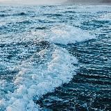 Море мамочек