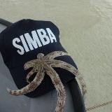 Simba blog