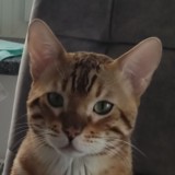 𝙱𝚕𝚘𝚐 | Yarikyz