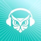 Гнездо Совы