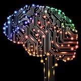 Интересности