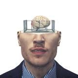 Мозг в клетке: 18+