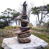 чат Андрея Букшука